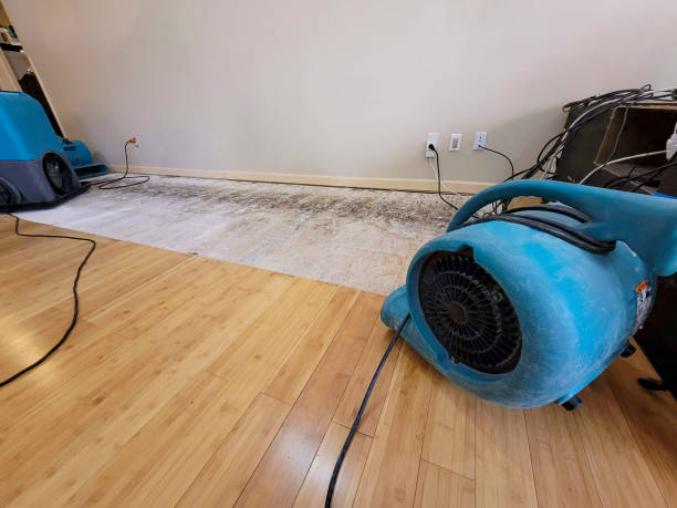 Reliable Basement Flood Cleanup contractor in Pascagoula, MS by Hirex Water Damage