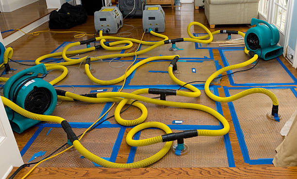 Professional Basement Flood Cleanup technician working in Pascagoula, MS